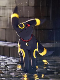 寶可夢學(xué)院之月亮