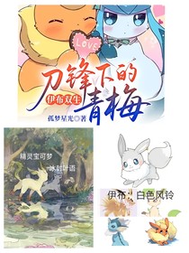 伊布三重奏：刀光剑影