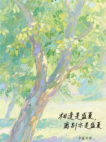梧桐樹里的盛夏