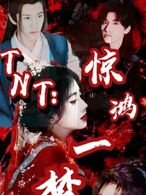 TNT：折鳳