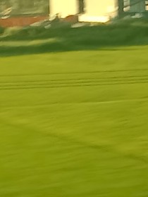 綜看過之不一樣的世界