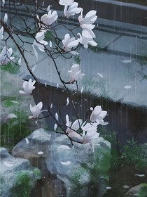 碎光里的生平
