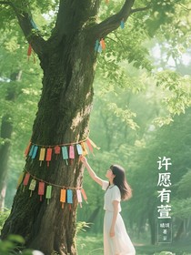 許愿有萱