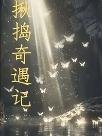 揪捣奇遇记
