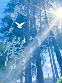 冬鹤