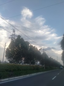 少白之穿越