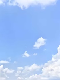 綜影視浮夢