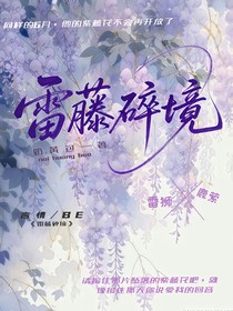 雷藤碎镜