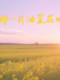 那一片油菜花田