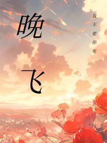 晚飛
