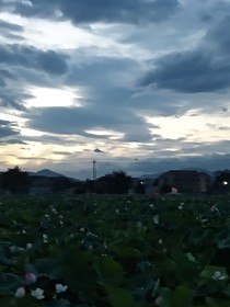 書(shū)中的救贖