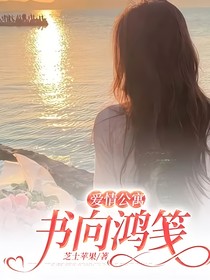 愛情公寓：書向鴻箋