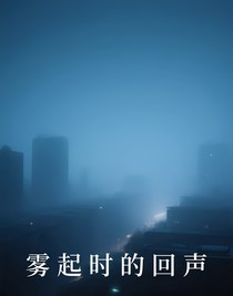 雾起时的回声