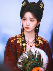 综穿：梨花哪堪几回折