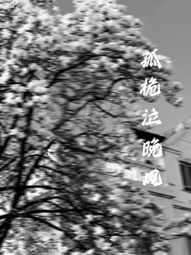 孤桅泣晚風