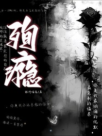 斗龍：殉癮