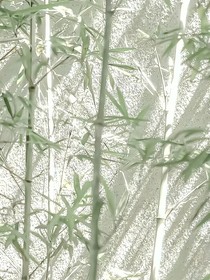 史萊克：她令人著迷