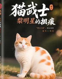 貓武士黎明星的掙扎