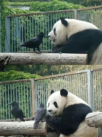 一些自己