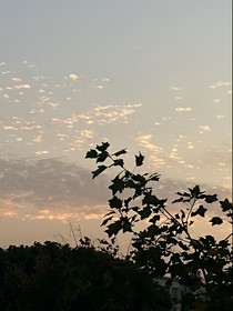 末世我?guī)〉芡孓D(zhuǎn)空間