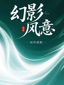 幻影忍者：風(fēng)意