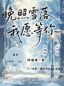 晚照雪落，我愿等你