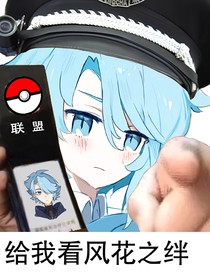神奇宝贝：风花之绊