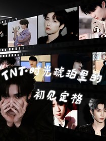 TNT：時(shí)光琥珀里的初見定格