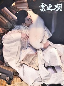 综影视之风华映影