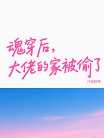 魂穿后，大佬的家被偷了