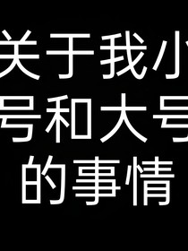 關(guān)于我小號(hào)和大號(hào)的事情