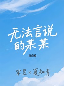 無(wú)法言說(shuō)的某某