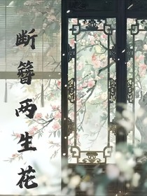 斷簪兩生花