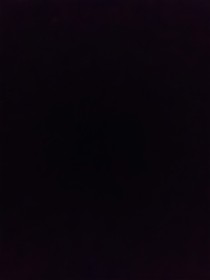 Black與White……
