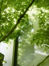 all恒：曖昧不止