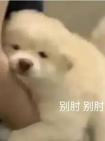 啞太陽