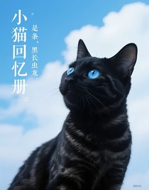 小貓回憶冊(cè)