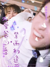 曼谷四季紫雨初逢