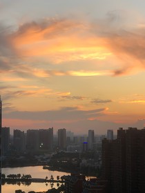 菑升杯落
