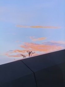 那時，凌橙教我