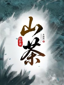 綜影視：山茶