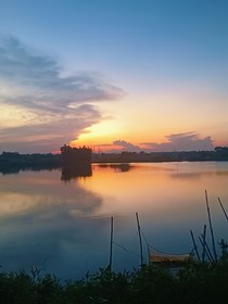 夏晶冰華