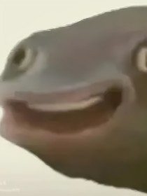 oc雜文集