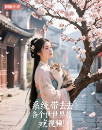 系統(tǒng)帶我去各個世界放小視頻