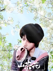 王櫓杰：山茶花