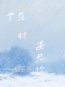 雪落时遇见你