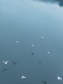 我可以再爱吗？
