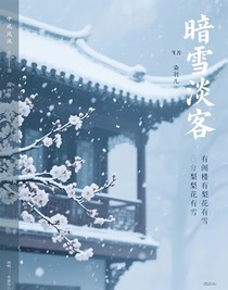 暗雪淡客