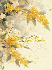 HP：致塞西莉婭