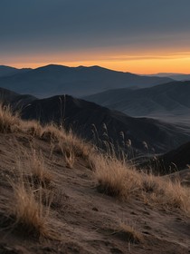 神话荒野